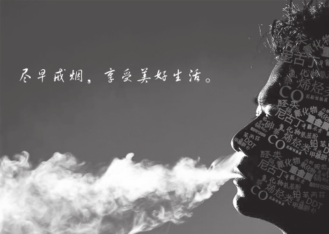 图片15.png