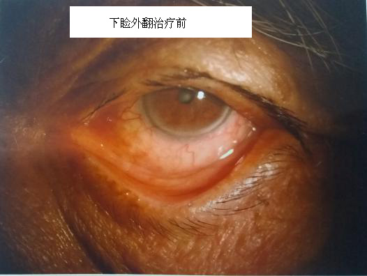 图片1.jpg
