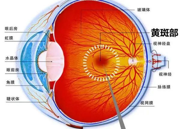 图片-2.jpg