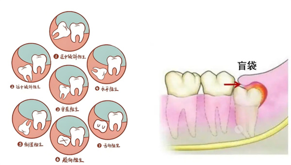 微信图片_2025-11-05_101220_789.jpg