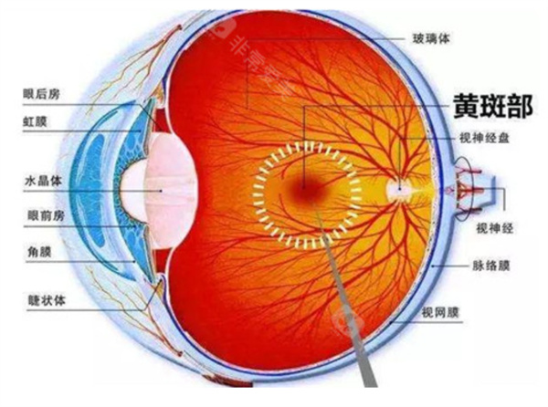 微信图片_2025-11-14_094320_703.jpg