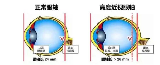 微信图片_2026-02-04_160838_262.jpg