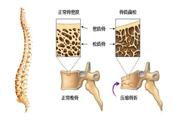 微信图片_2026-02-10_101721_286.jpg